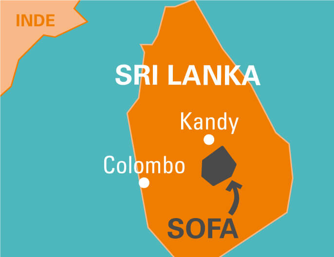Carte coopÃ©rative Sofa au Sri Lanka - clou de girofle